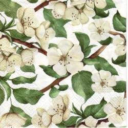 20 Tovaglioli Apple blossom Bianco - 33x33cm 3 veli